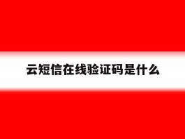 云短信在线验证码是什么