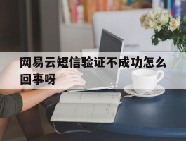 网易云短信验证不成功怎么回事呀