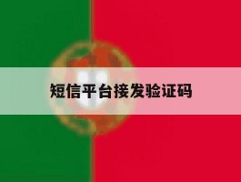 短信平台接发验证码