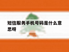 短信服务手机号码是什么意思呀