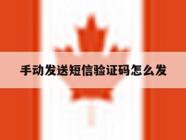 手动发送短信验证码怎么发