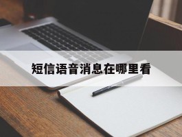 短信语音消息在哪里看