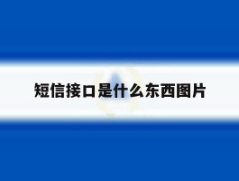 短信接口是什么东西图片