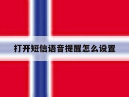打开短信语音提醒怎么设置