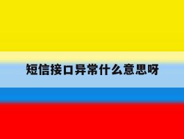 短信接口异常什么意思呀