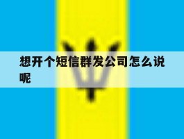 想开个短信群发公司怎么说呢