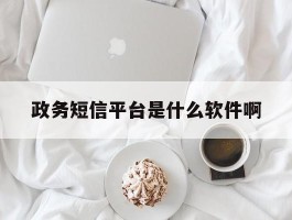 政务短信平台是什么软件啊