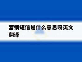 营销短信是什么意思呀英文翻译