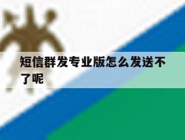 短信群发专业版怎么发送不了呢