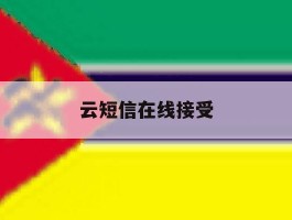 云短信在线接受