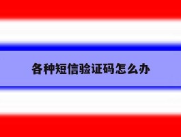 各种短信验证码怎么办