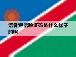 语音短信验证码是什么样子的啊