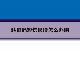 验证码短信很慢怎么办啊