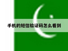 手机的短信验证码怎么看到