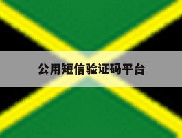 公用短信验证码平台
