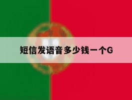 短信发语音多少钱一个G