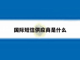 国际短信供应商是什么