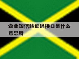 企业短信验证码接口是什么意思呀