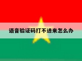 语音验证码打不进来怎么办