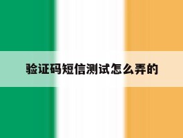 验证码短信测试怎么弄的