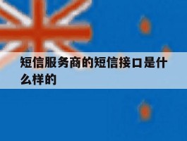 短信服务商的短信接口是什么样的