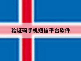 验证码手机短信平台软件