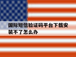 国际短信验证码平台下载安装不了怎么办