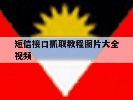 短信接口抓取教程图片大全视频