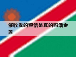 关于催收发的短信是真的吗潘金莲的信息