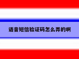 语音短信验证码怎么弄的啊