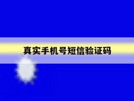 真实手机号短信验证码