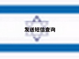发送短信查询