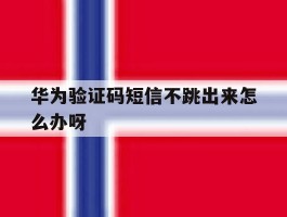 华为验证码短信不跳出来怎么办呀